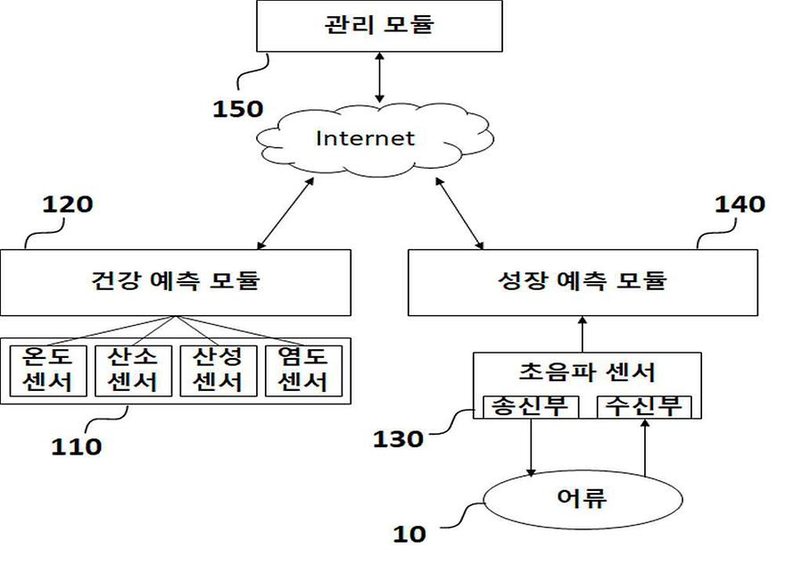 대표 도식